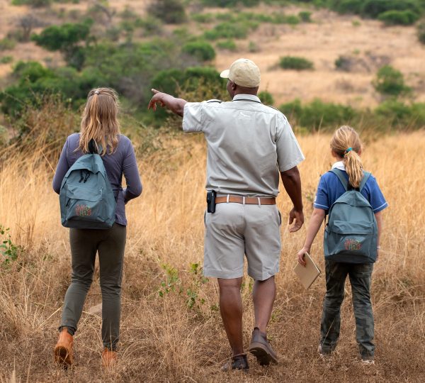 How to Plan an Unforgettable Family Safari in Tanzania?