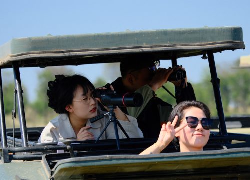 Is a Photographic Safari in Tanzania Worth It?