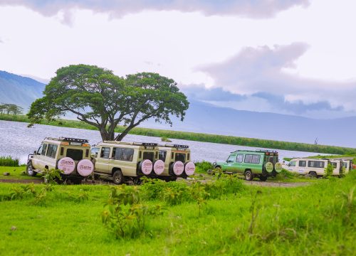 2 Days Tanzania Private Safari Holidays