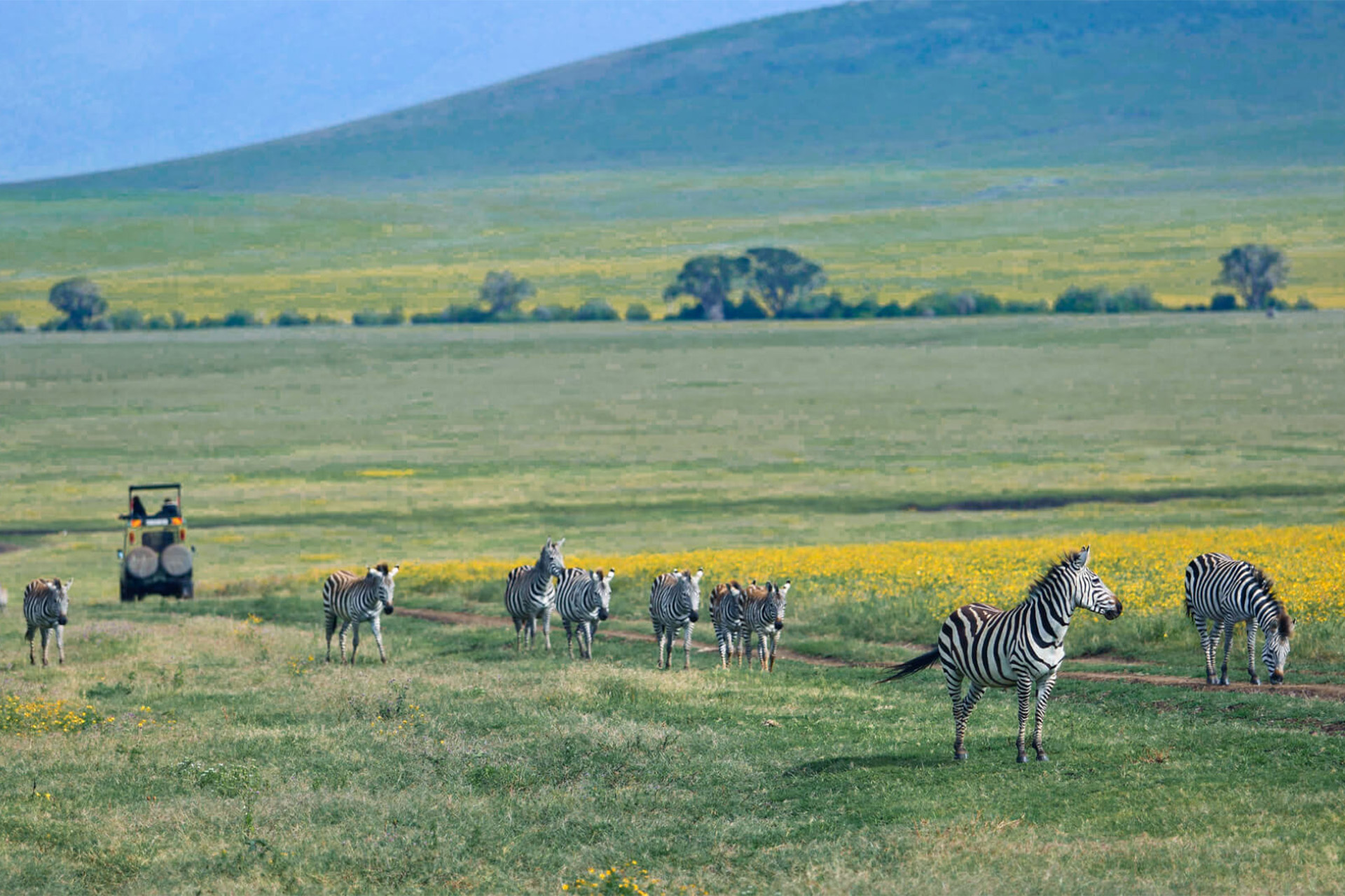 5 Day Tanzania Romantic Safari Vacation