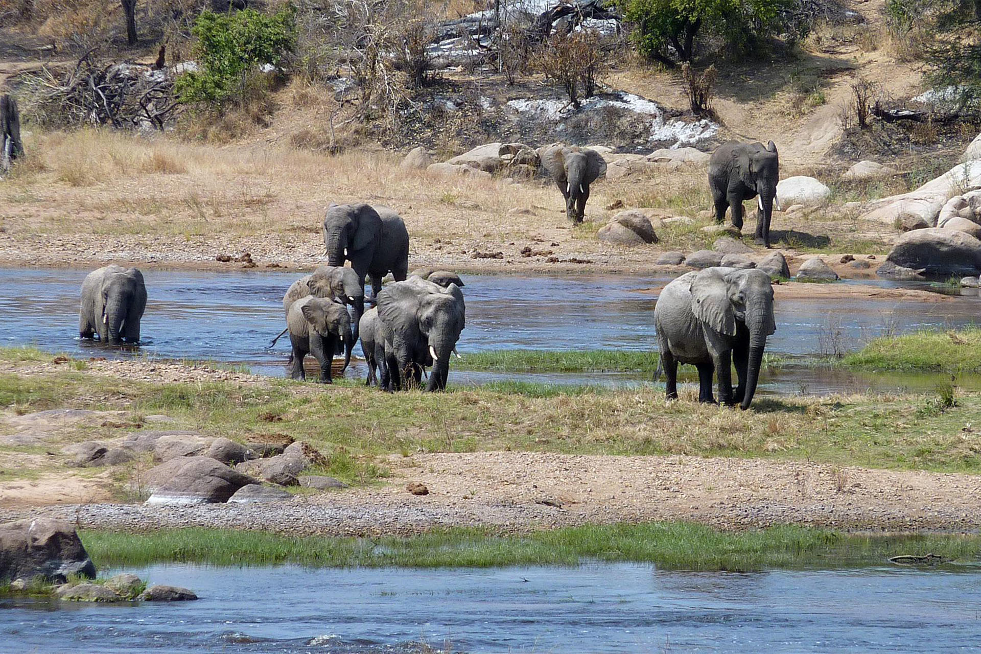 3 Days southern Tanzania safari