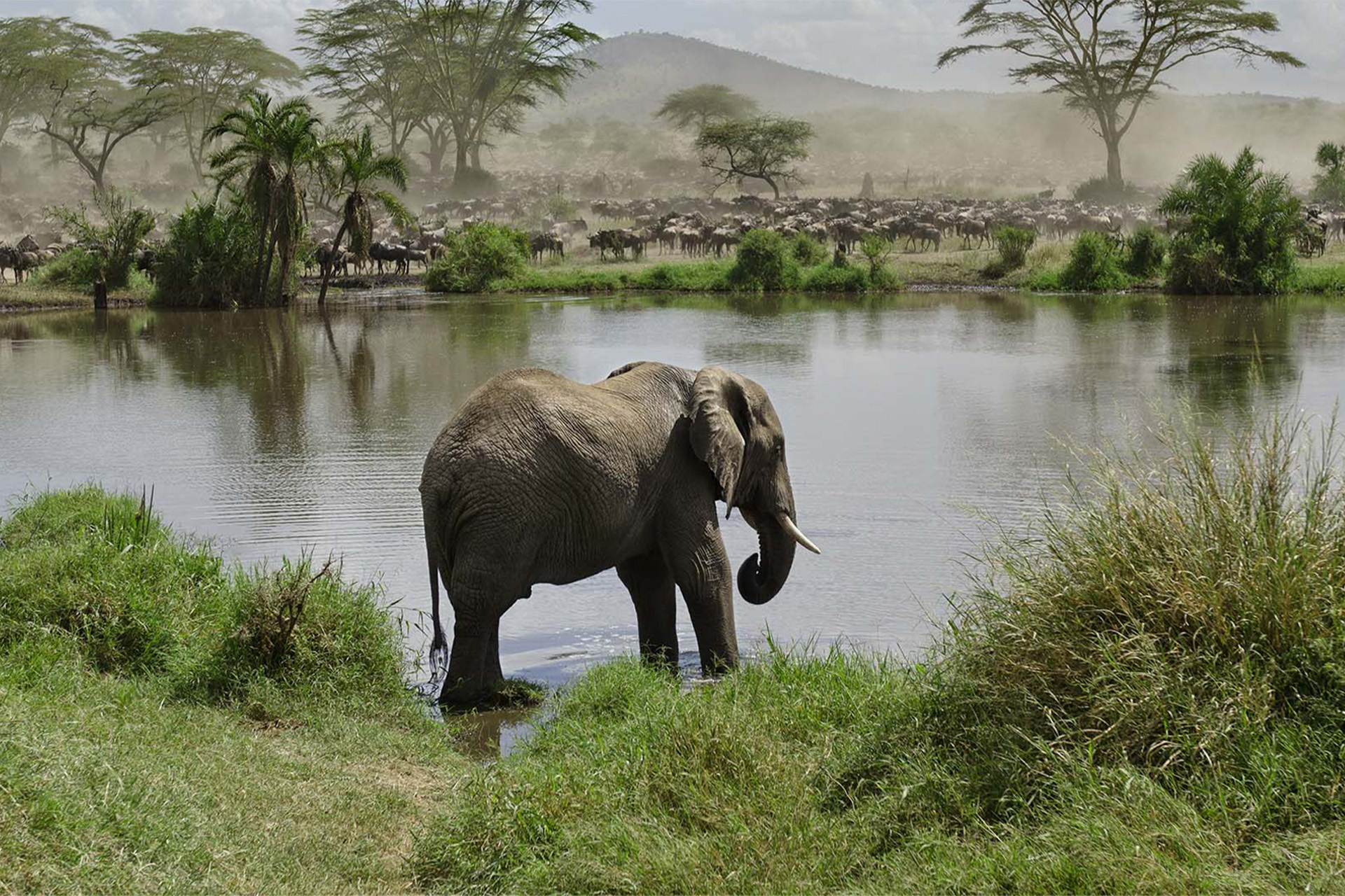 5 Days Tanzania Family Safari Experience