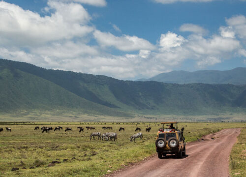 Ngorongoro Crater Day Trip