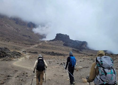 7 Days Kilimanjaro's Hiking Rongai Route