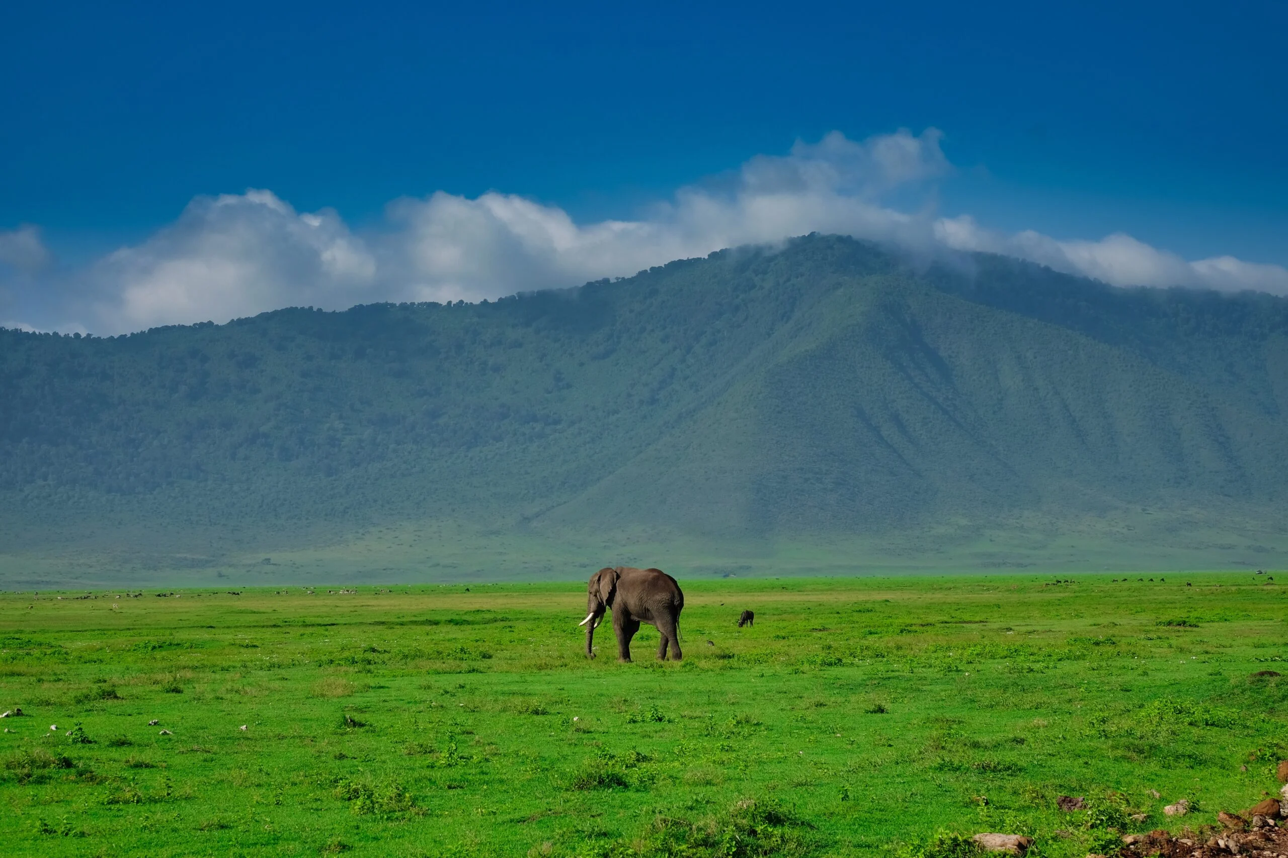 Ngorongoro Crater