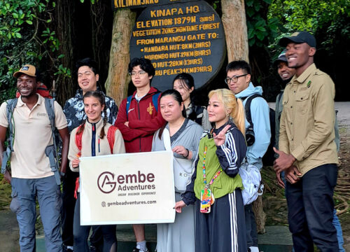 1-Day Hike Mt Kilimanjaro via Marangu Route